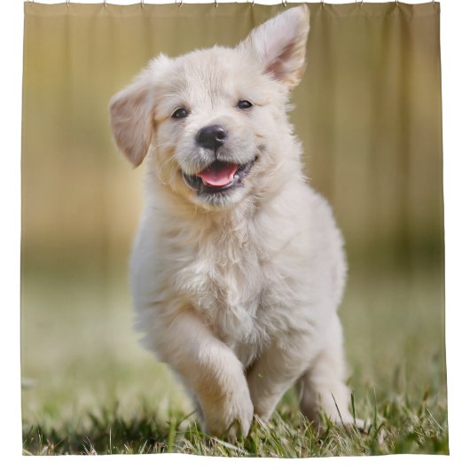 かわいい子犬パーソナライズされたの写真犬 シャワーカーテン (正面)