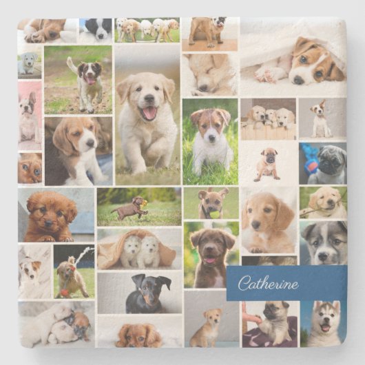 かわいい子犬フォトモンタージュかわいい犬 ストーンコースター (正面)