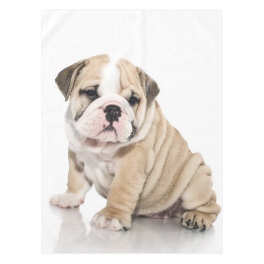 かわいい子犬ブルドッグ悲しい テーブルクロス (正面)