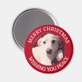 かわいい子犬メリークリスマスピースレッド マグネット (正面/裏面)