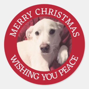 かわいい子犬メリークリスマスピースレッド ラウンドシール