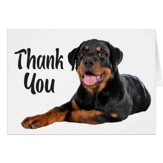 かわいい子犬ロットワイラーありがとう (正面横)