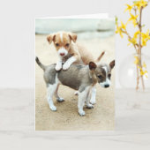 かわいい子犬遊ズオンビーチ カード (黄色い花)