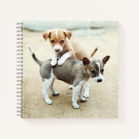 かわいい子犬遊ズオンビーチ ノートブック (正面)