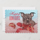 かわいい子犬 (正面)