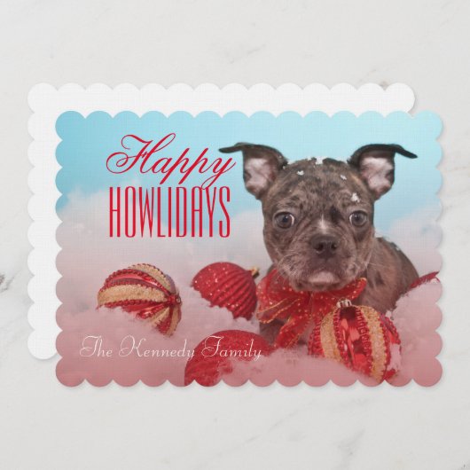 かわいい子犬 (正面/裏面)