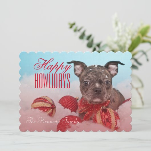 かわいい子犬 (スタンド正面)