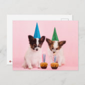 かわいい子犬2匹の誕生日帽子とろうそく ポストカード (正面/裏面)