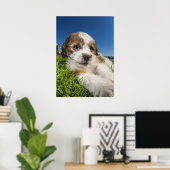 かわいい子犬(しず) ポスター (ホームオフィス)