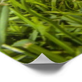 かわいい子犬(しず) ポスター (角)