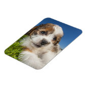 かわいい子犬（しず） マグネット (左側)