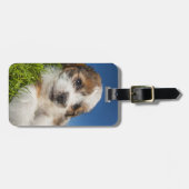 かわいい子犬(しつ) ラゲッジタグ (正面横)