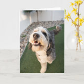 かわいい子犬 カード (黄色い花)