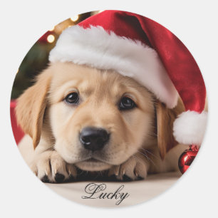 かわいい子犬。クリスマスレトリバーの子犬 ラウンドシール