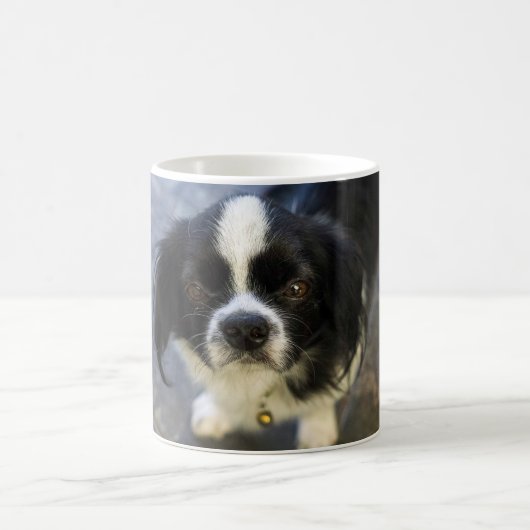 かわいい子犬 コーヒーマグカップ (中央)
