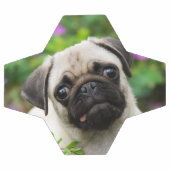 かわいい子犬 サッカーボール (フラット)