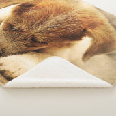 かわいい子犬 シェルパブランケット (3/4)