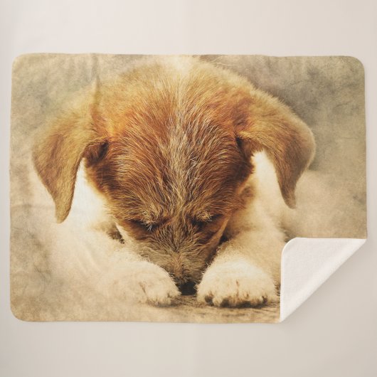 かわいい子犬 シェルパブランケット (正面(横))