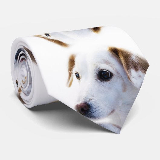 かわいい子犬 ネクタイ (ロール)