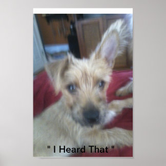 かわいい子犬 ポスター