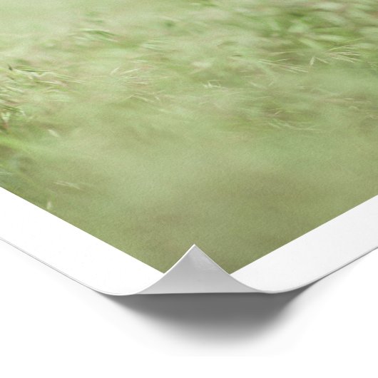 かわいい子犬 ポスター (角)