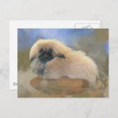 かわいい子犬 ポストカード (正面/裏面)