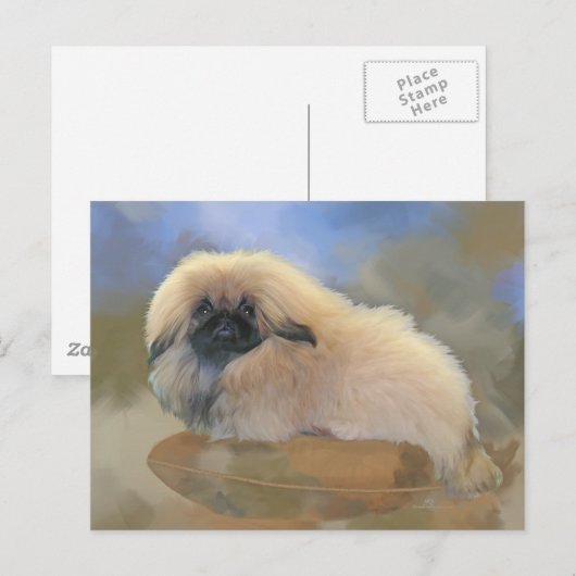 かわいい子犬 ポストカード (正面/裏面)