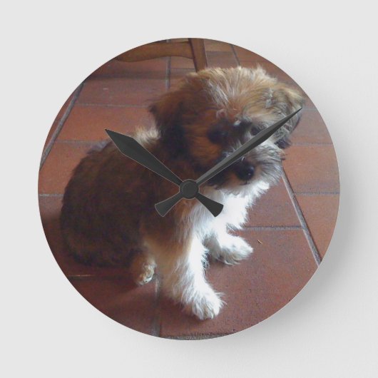 かわいい子犬 ラウンド壁時計 (正面)