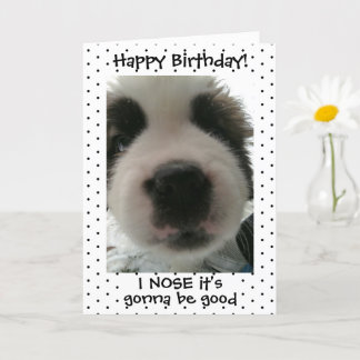 かわいい子犬 誕生日おめでとう ドット柄 カード