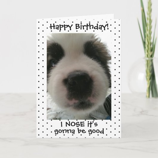 かわいい子犬i鼻その誕生日水玉模様 カード (正面)