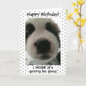 かわいい子犬i鼻その誕生日水玉模様 カード (黄色い花)