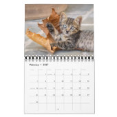 かわいい子猫おもしろいの写真 –  カレンダー (2月 2027)