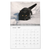 かわいい子猫おもしろいの写真 –  カレンダー (1月 2027)
