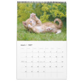 かわいい子猫おもしろいの写真 カレンダー (3月 2027)