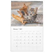 かわいい子猫おもしろいの写真 カレンダー (2月 2027)