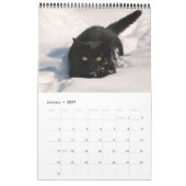 かわいい子猫おもしろいの写真 カレンダー (1月 2027)