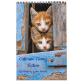 かわいい子猫おもしろいの写真 カレンダー (カバー)