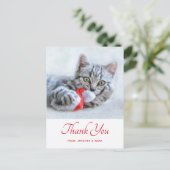 かわいい子猫かみ赤サンタハットクリスマスありがとう ポストカード (スタンド正面)