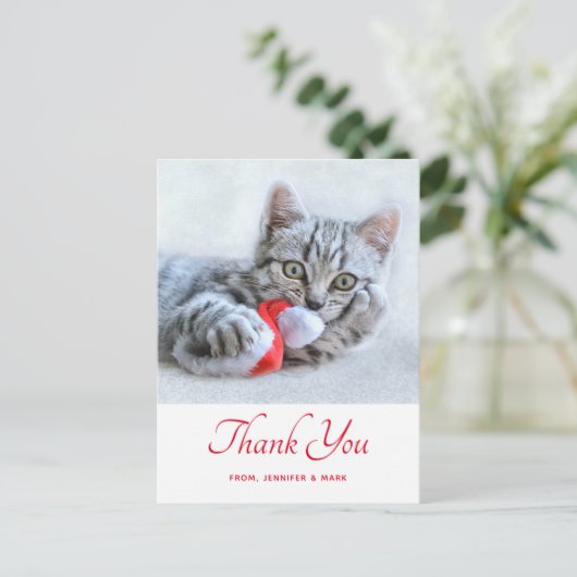 かわいい子猫かみ赤サンタハットクリスマスありがとう ポストカード (スタンド正面)
