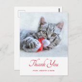 かわいい子猫かみ赤サンタハットクリスマスありがとう ポストカード (正面/裏面)