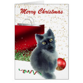 かわいい子猫がクリスマスカードに登場|過去記事 (正面)