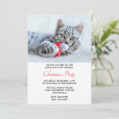 かわいい子猫が赤いサンタ帽をかむクリスマスパーティー 招待状 (スタンド正面)