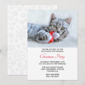 かわいい子猫が赤いサンタ帽をかむクリスマスパーティー 招待状 (正面/裏面)