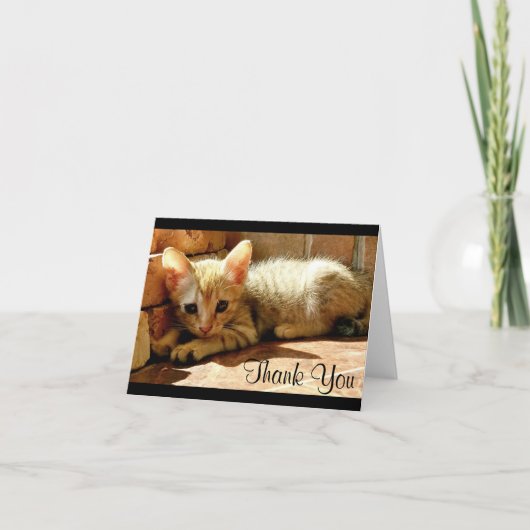 かわいい子猫さんありがとう サンキューカード (正面)