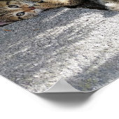 かわいい子猫たち遊と猫たち ポスター (角)