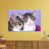 かわいい子猫たち2匹の昼寝 キャンバスプリント (インサイチュ (リビング))