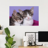 かわいい子猫たち2匹の昼寝 ポスター (ホームオフィス)
