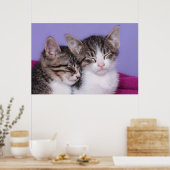 かわいい子猫たち2匹の昼寝 ポスター (キッチン)
