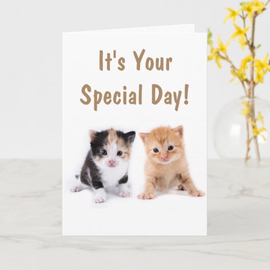 かわいい子猫たち2匹の誕生日 カード (黄色い花)
