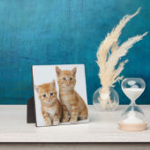 かわいい子猫たち2匹 フォトプラーク (インサイチュ)